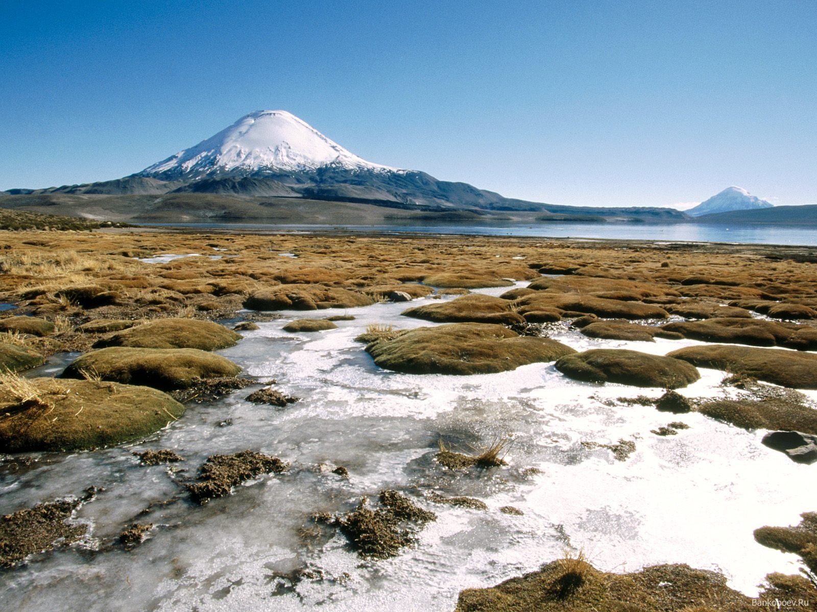 Lago Chungará Altiplano de Chile