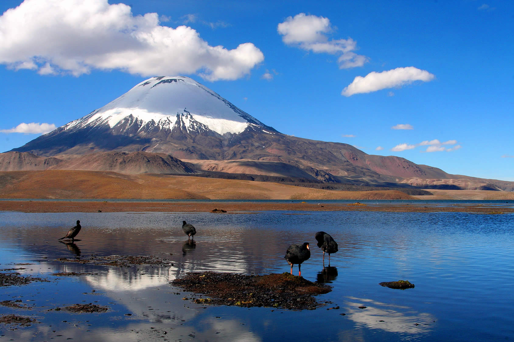 Lake Chungará. The reflection of a treasure