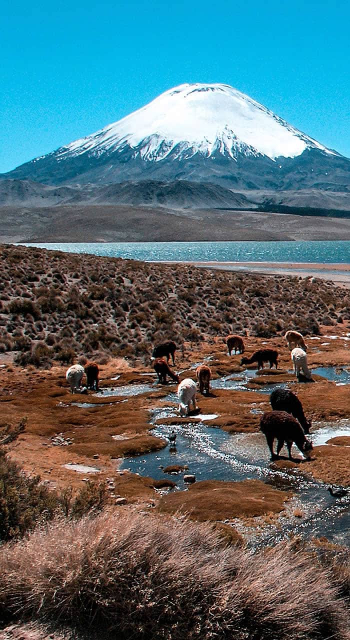 Lago Chungara