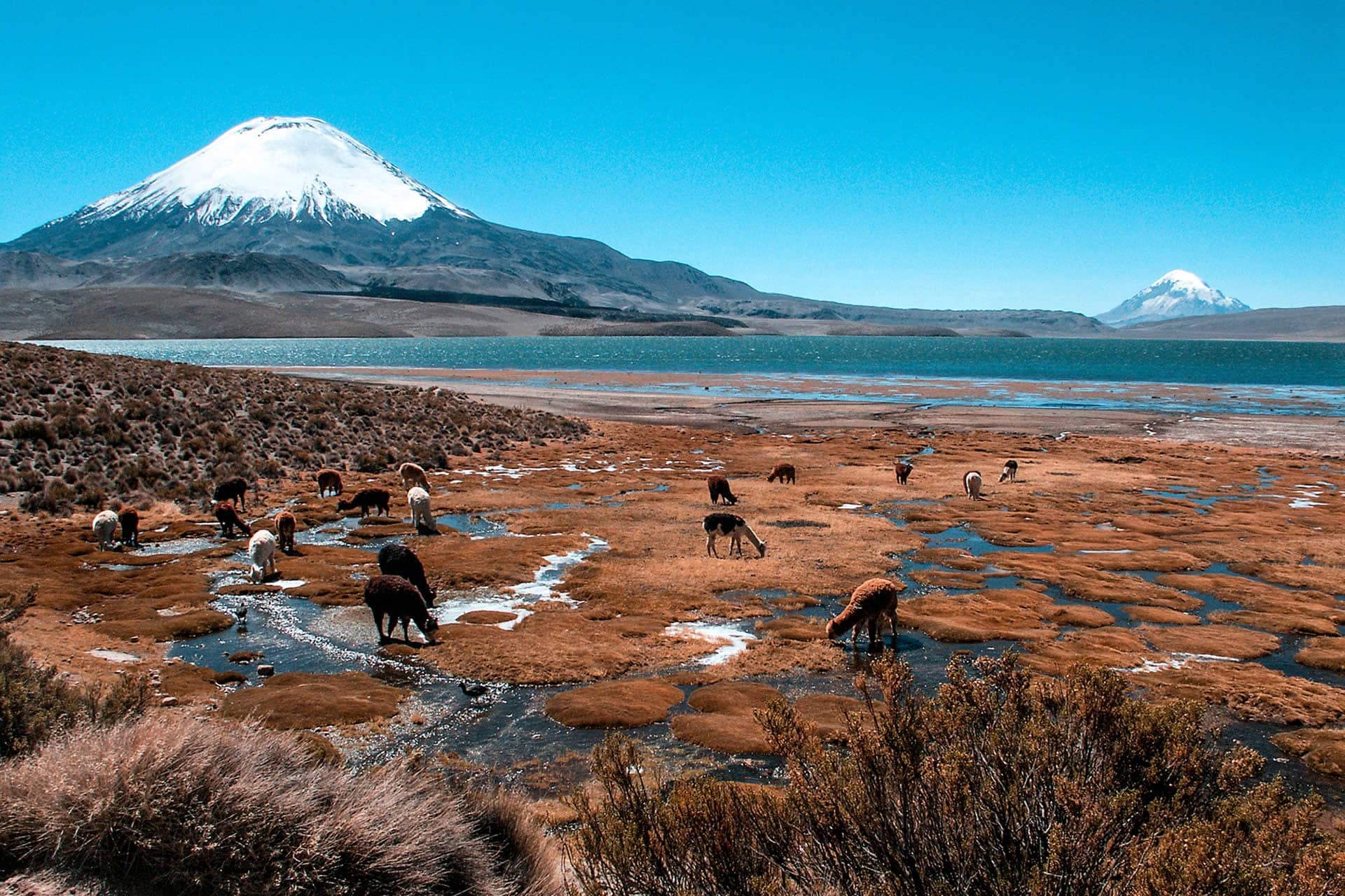 Lago Chungara