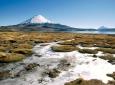 Lago Chungará Altiplano de Chile