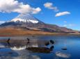 Nord du Chili, Lac Chungará