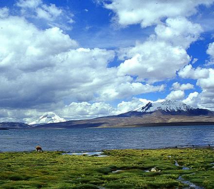 Lake Chungará. The reflection of a treasure
