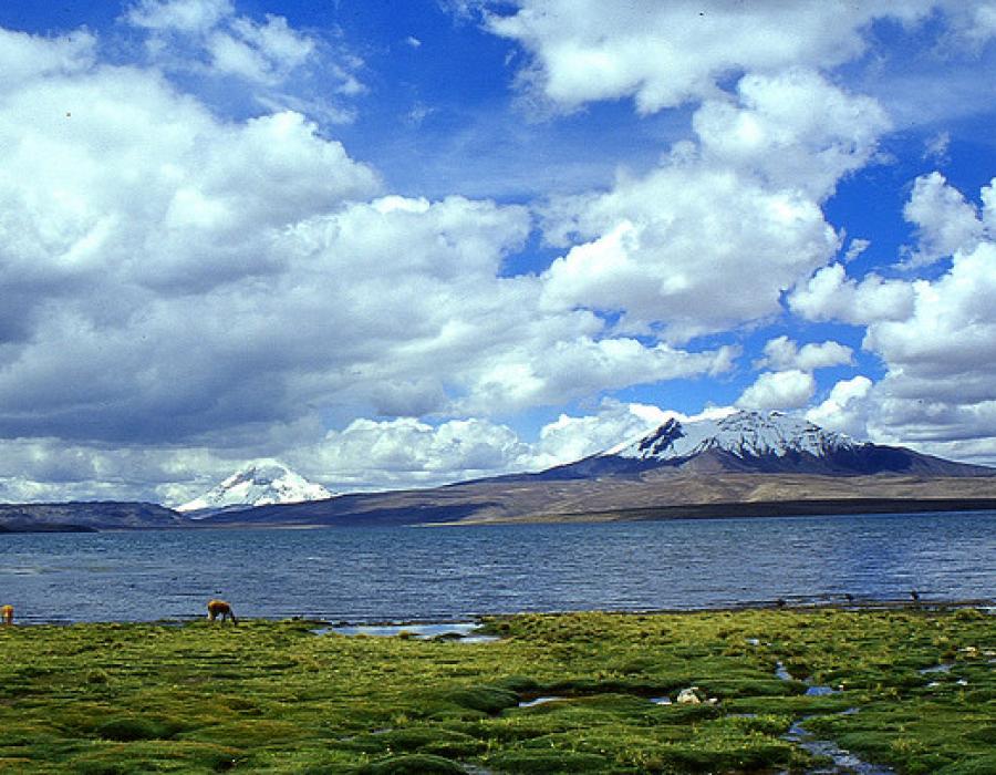 Lago Chungará