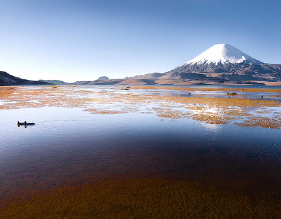 Viaje al sorprendente lago Chungará