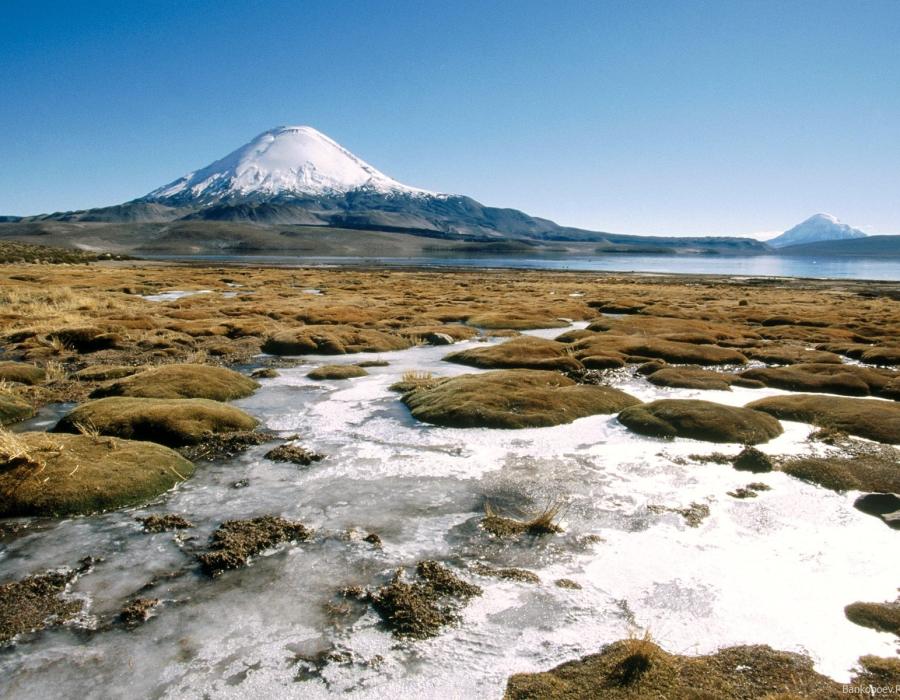 Lago Chungará Altiplano de Chile