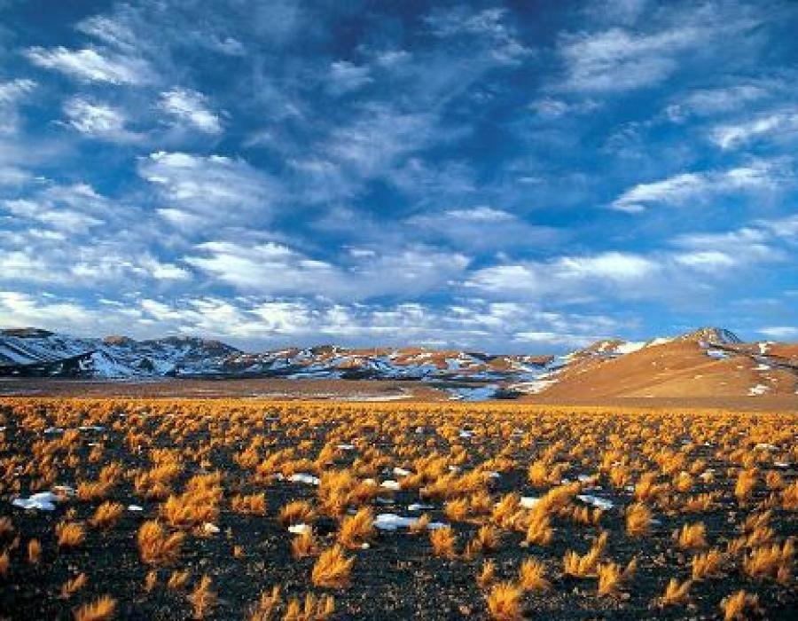 Chile, destino privilegiado para los amantes de la naturaleza