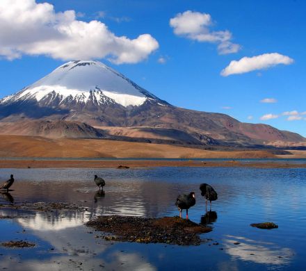 Tour Nationalpark Lauca