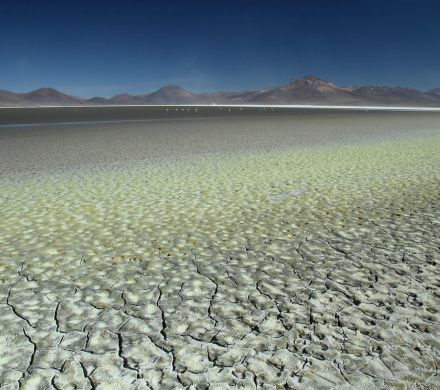 Tour Majestueux Altiplano