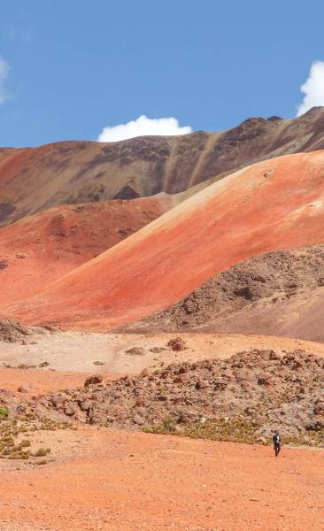 Tour Parc National Lauca
